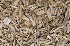 biomass boilers Shuttlewood